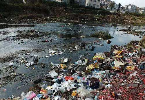 山东省半岛流域水污染物